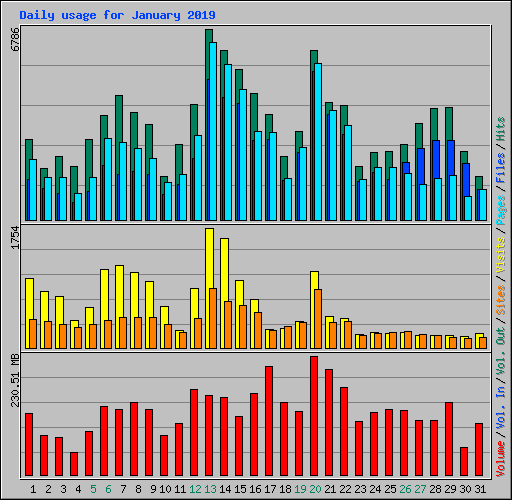 Daily usage for January 2019