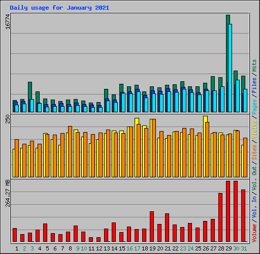 Daily usage for January 2021