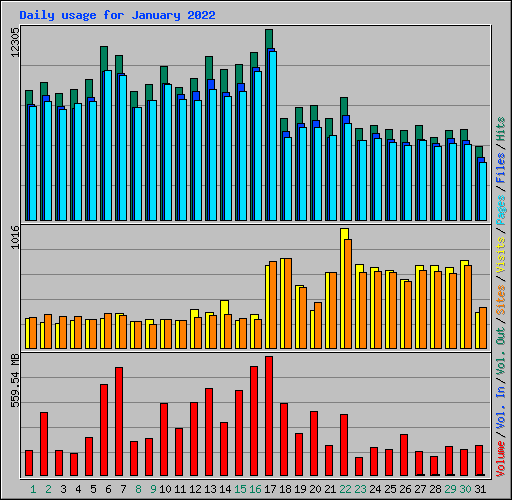 Daily usage for January 2022