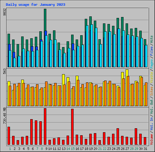 Daily usage for January 2023