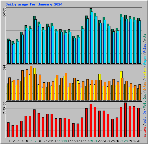 Daily usage for January 2024