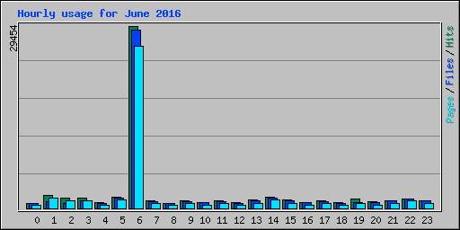 Hourly usage for June 2016