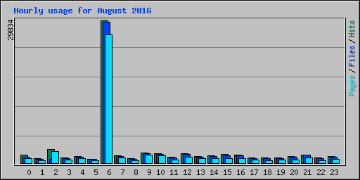 Hourly usage for August 2016