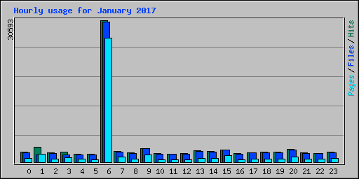 Hourly usage for January 2017