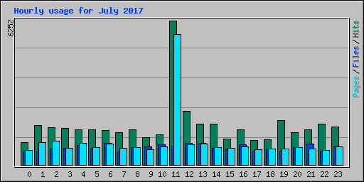 Hourly usage for July 2017