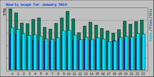 Hourly usage for January 2019