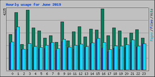 Hourly usage for June 2019