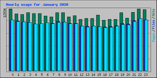 Hourly usage for January 2020