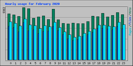 Hourly usage for February 2020