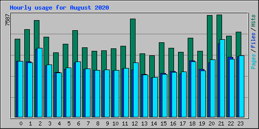 Hourly usage for August 2020