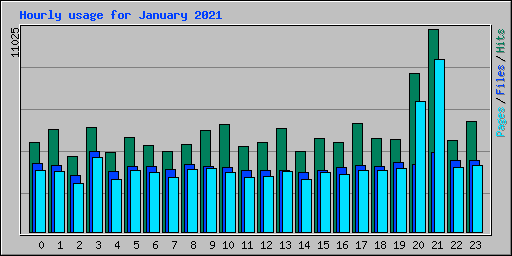 Hourly usage for January 2021