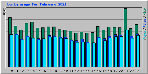 Hourly usage for February 2021