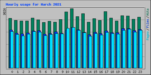 Hourly usage for March 2021