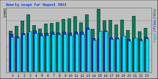 Hourly usage for August 2021