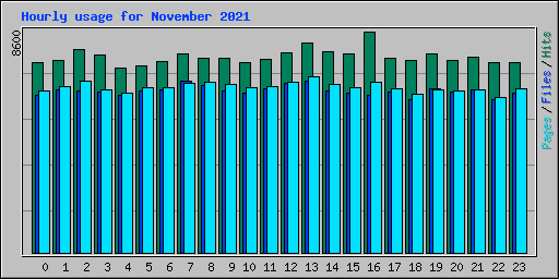 Hourly usage for November 2021