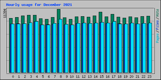 Hourly usage for December 2021