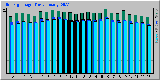 Hourly usage for January 2022