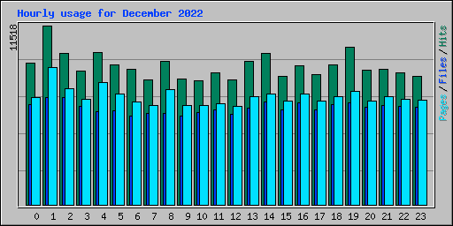 Hourly usage for December 2022