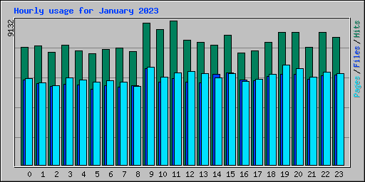 Hourly usage for January 2023