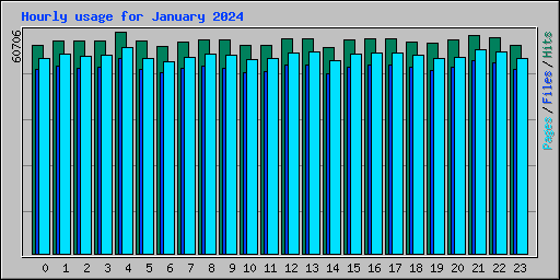 Hourly usage for January 2024