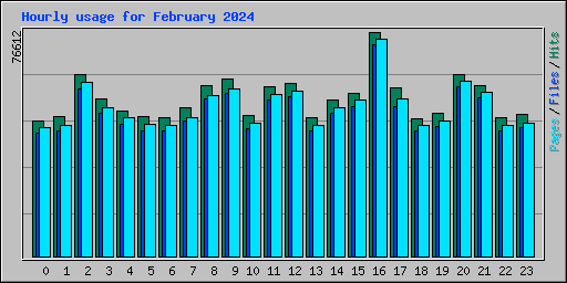 Hourly usage for February 2024