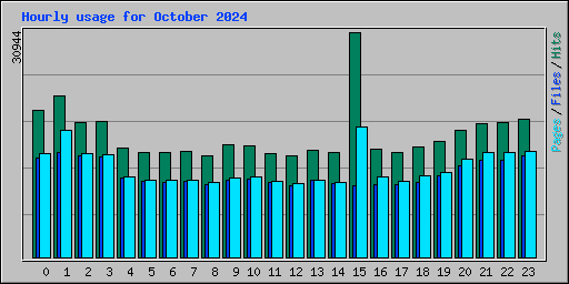 Hourly usage for October 2024