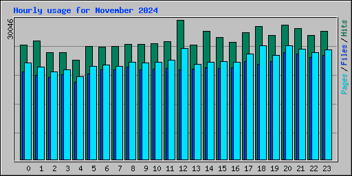Hourly usage for November 2024