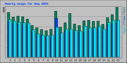Hourly usage for May 2025