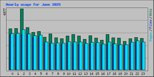 Hourly usage for June 2025