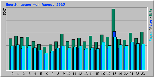 Hourly usage for August 2025