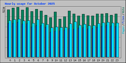 Hourly usage for October 2025