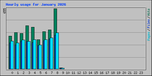 Hourly usage for January 2026