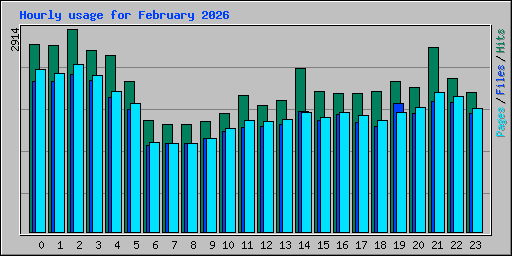 Hourly usage for February 2026
