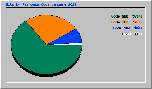 Hits by Response Code January 2019