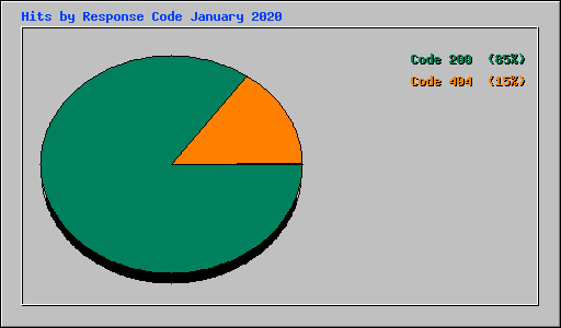 Hits by Response Code January 2020